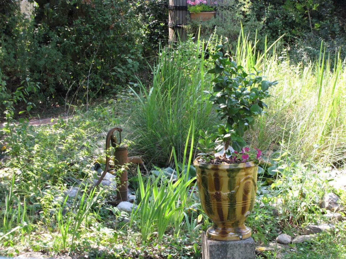 Domaine Du Bois Gite Bleuette Galargues Buitenkant foto